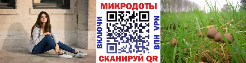 купить закладку  Камышлов  Галлюциногенные грибы Cubensis 